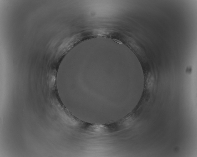 X0000111630427200907311232