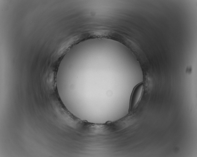 X0000111630428200907311232