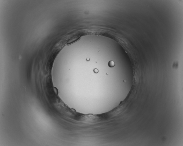 X0000111630429200907311231