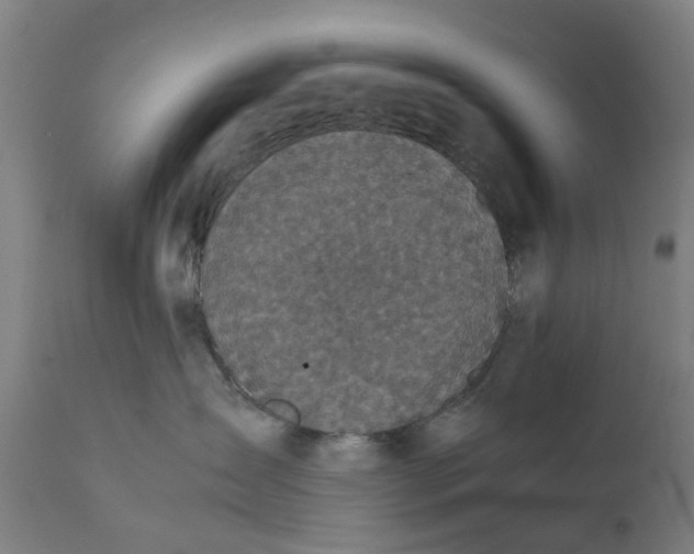 X0000111630431200907311231