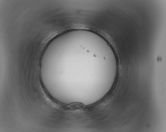 X0000111630433200907311231