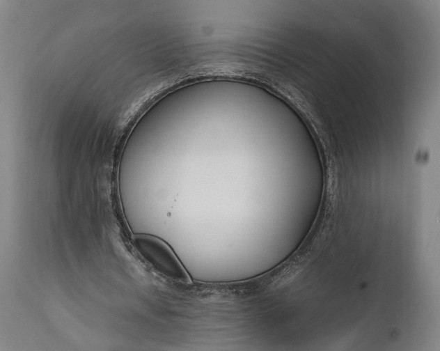 X0000111630434200907311231