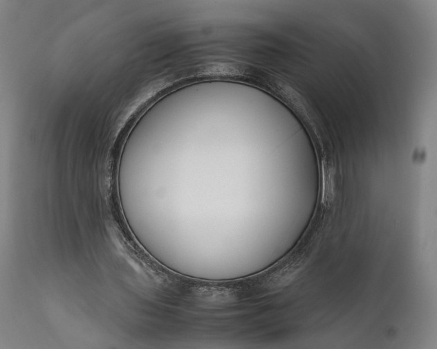 X0000111630435200907311231