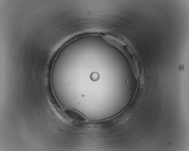 X0000111630436200907311231