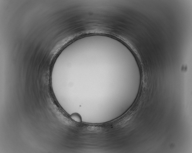 X0000111630437200907311231