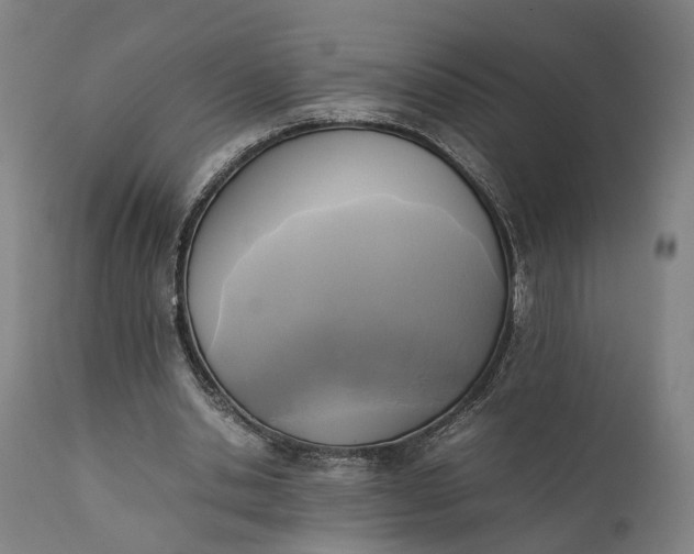 X0000111630438200907311231