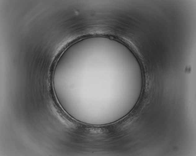 X0000111630439200907311231