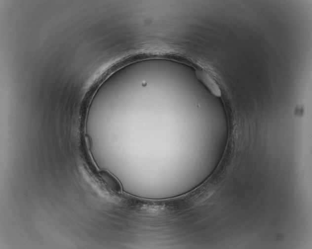 X0000111630440200907311231