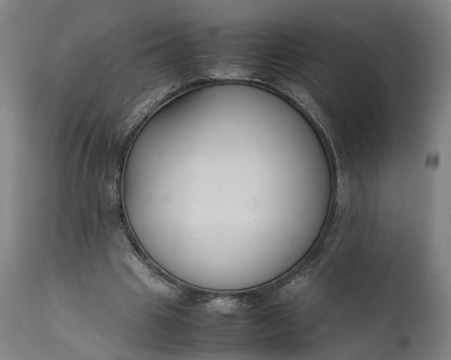 X0000111630441200907311231