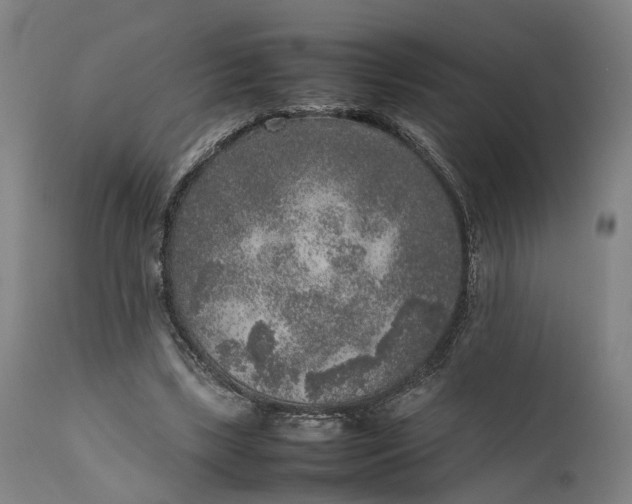 X0000111630443200907311231