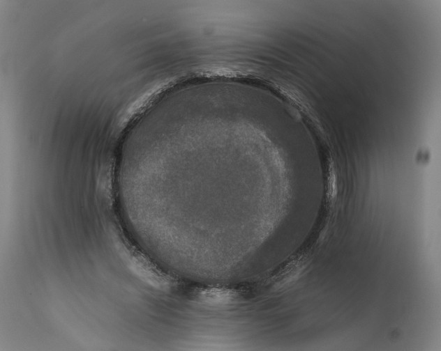 X0000111630444200907311231