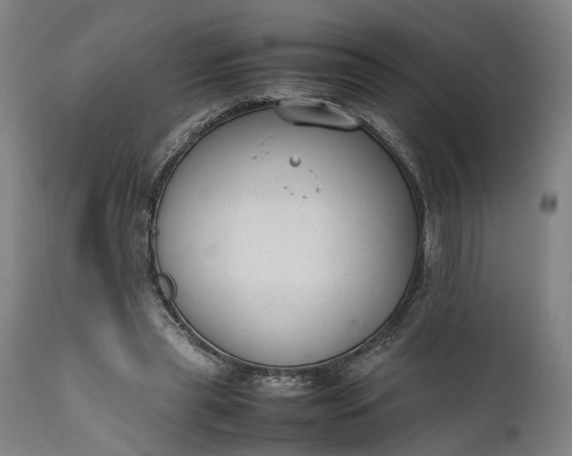 X0000111630445200907311231