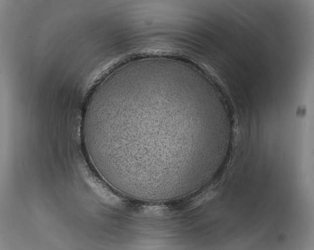 X0000111630446200907311231