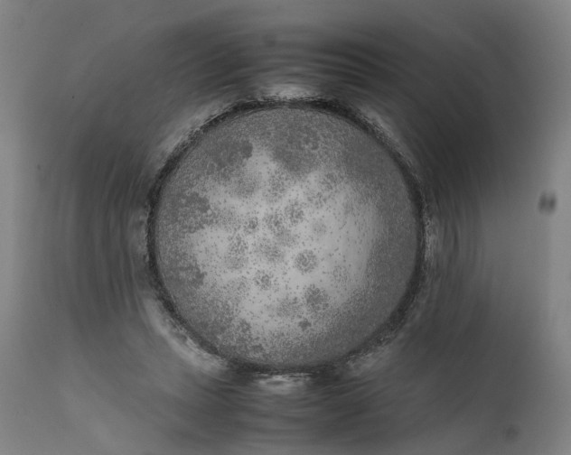 X0000111630447200907311231