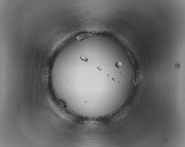 X0000111630448200907311231