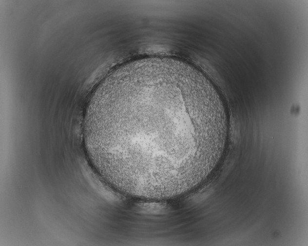 X0000111630449200907311231