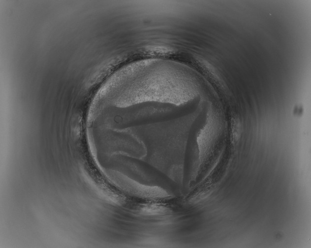 X0000111630451200907311231