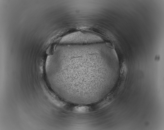 X0000111630452200907311231