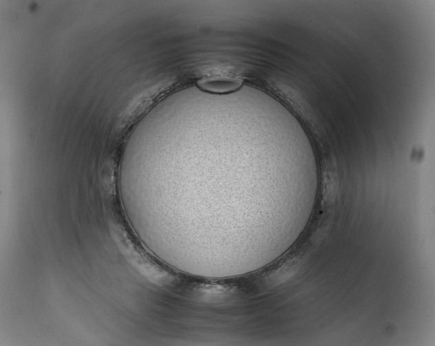 X0000111630453200907311231