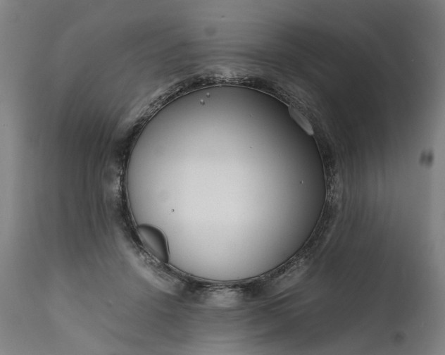 X0000111630456200907311231