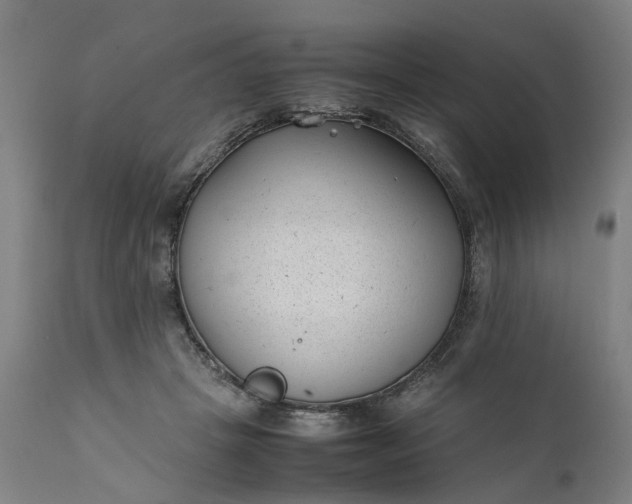 X0000111630457200907311231