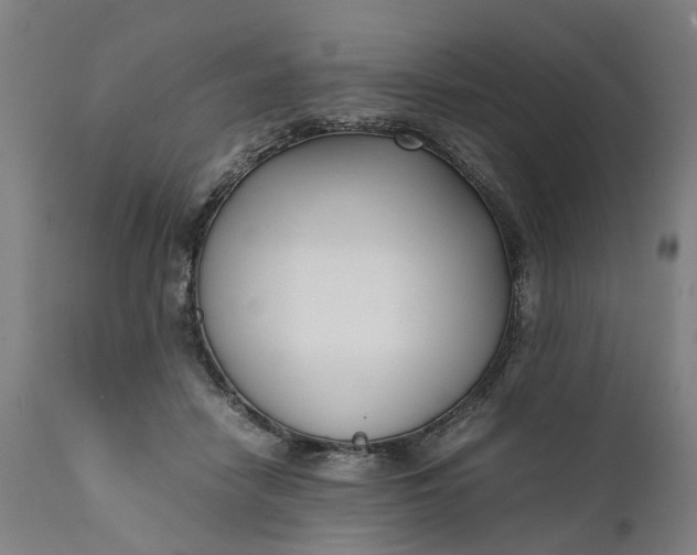 X0000111630458200907311231