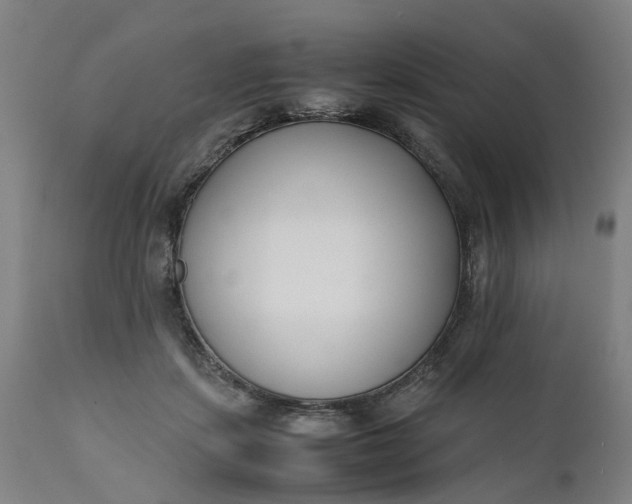 X0000111630459200907311231