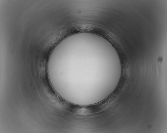 X0000111630460200907311231