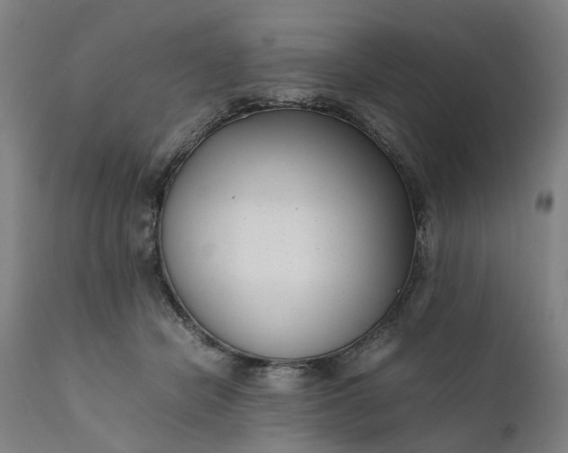 X0000111630462200907311231