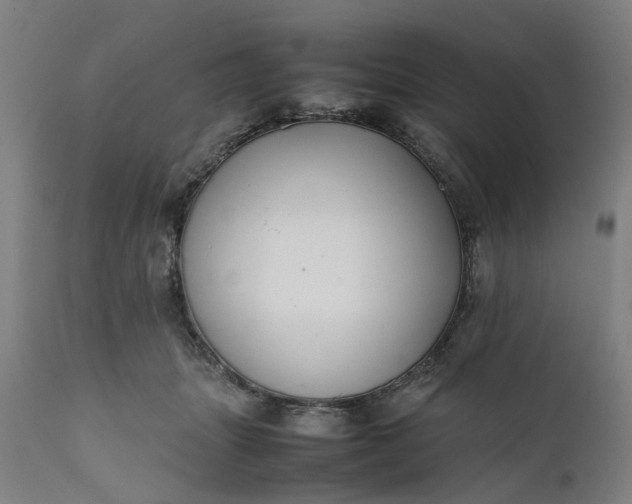 X0000111630463200907311231