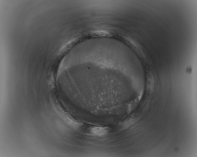 X0000111630465200907311231