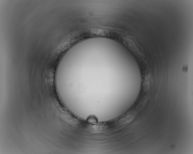 X0000111630466200907311231