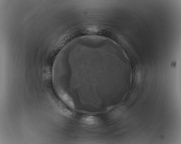 X0000111630467200907311231