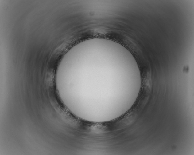 X0000111630468200907311231