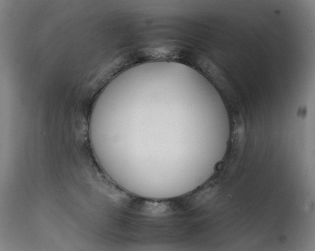 X0000111630469200907311231