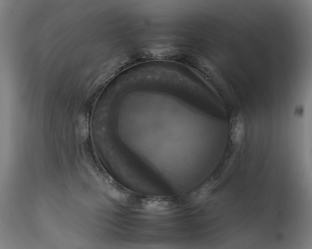 X0000111630471200907311231