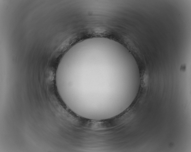 X0000111630472200907311231