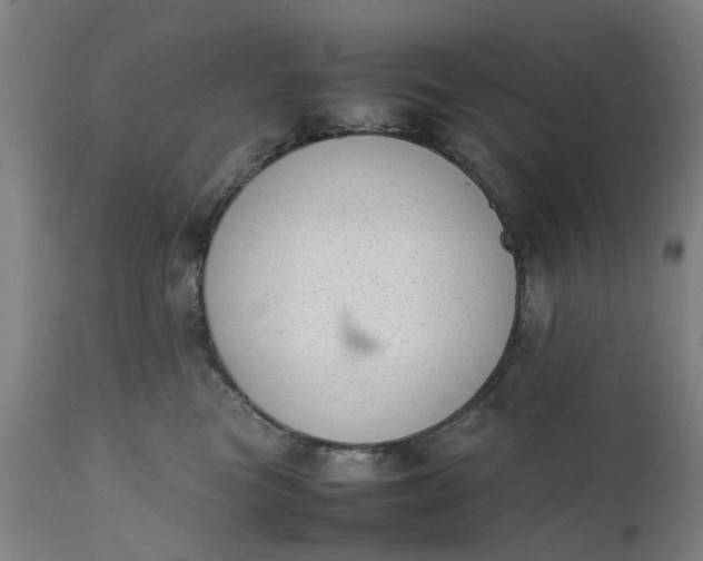 X0000111630473200907311231