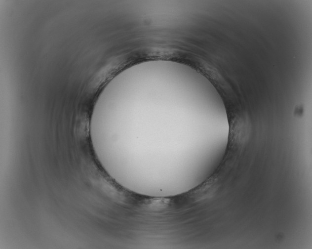 X0000111630474200907311231