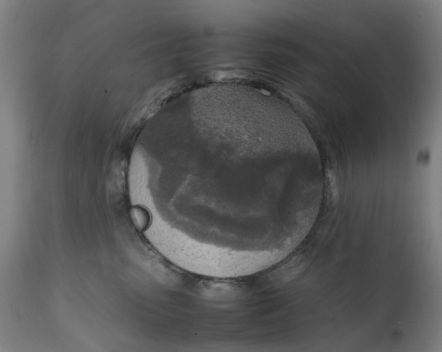 X0000111630475200907311231