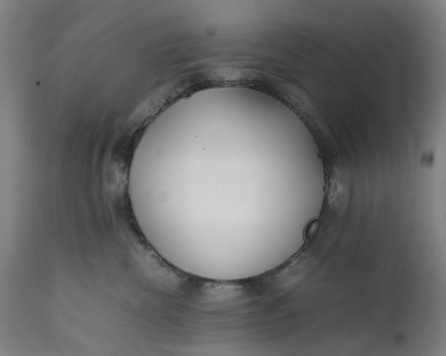 X0000111630476200907311231