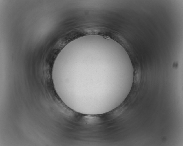 X0000111630477200907311231