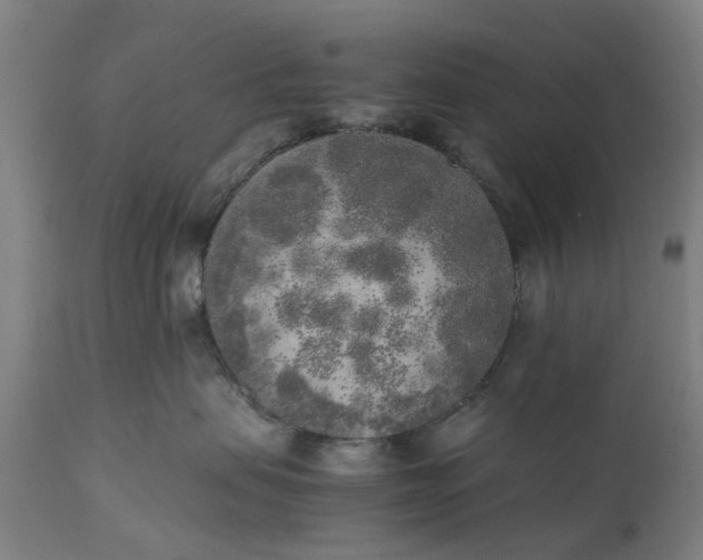 X0000111630479200907311231