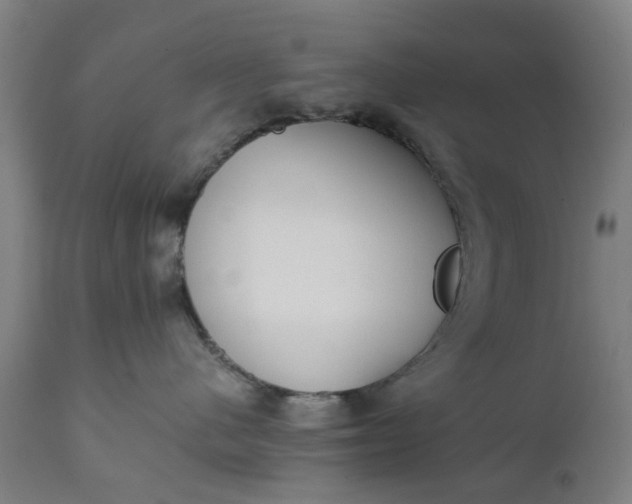 X0000111630480200907311231