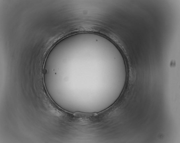 X0000111630481200907311231