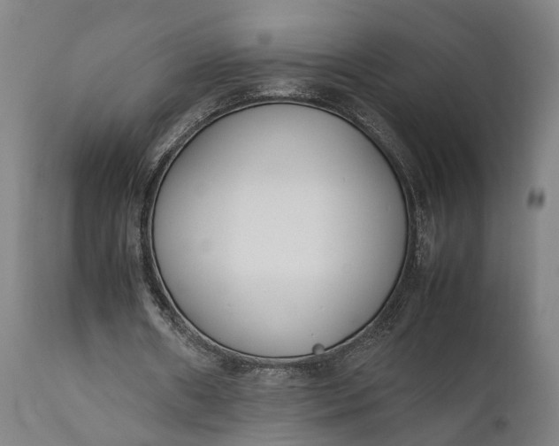 X0000111630482200907311231