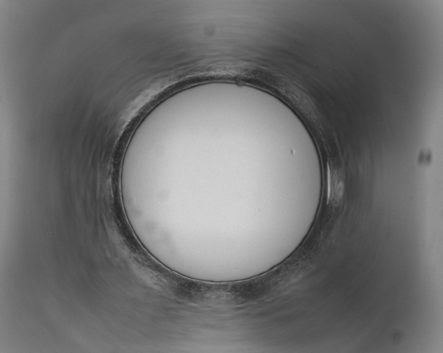 X0000111630483200907311231