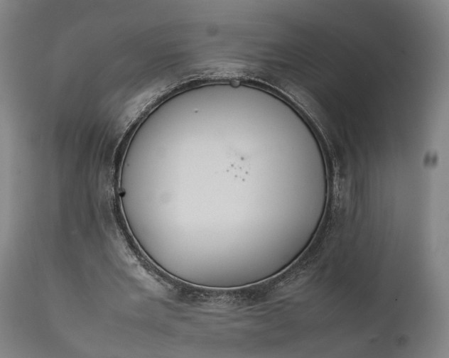 X0000111630485200907311231