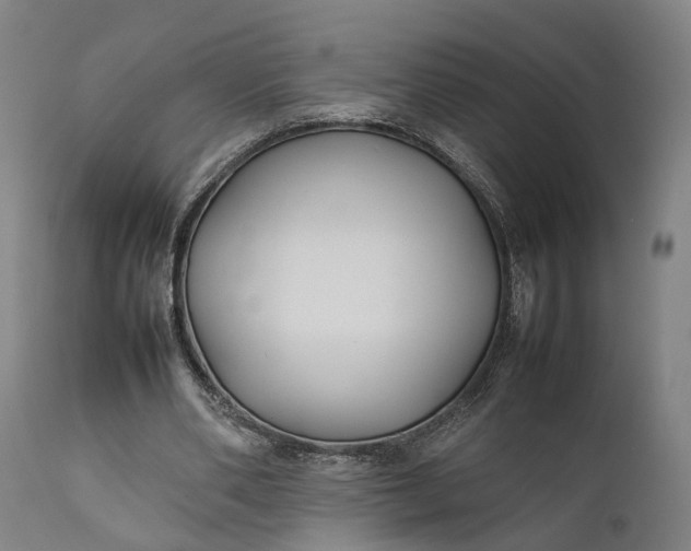 X0000111630486200907311231