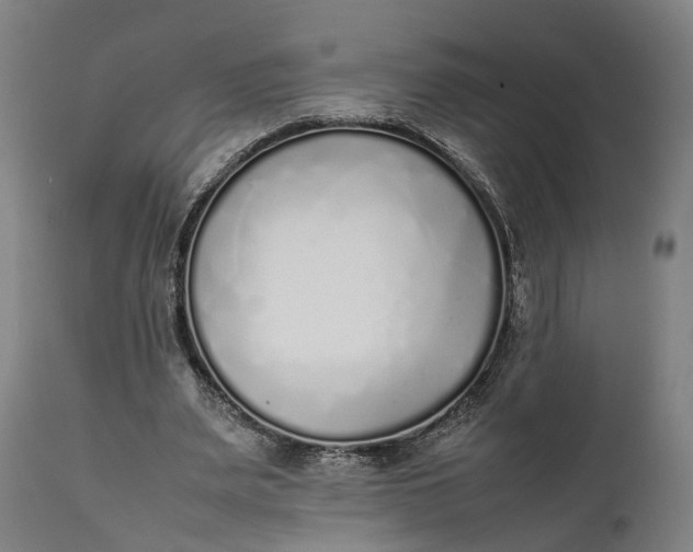 X0000111630487200907311231